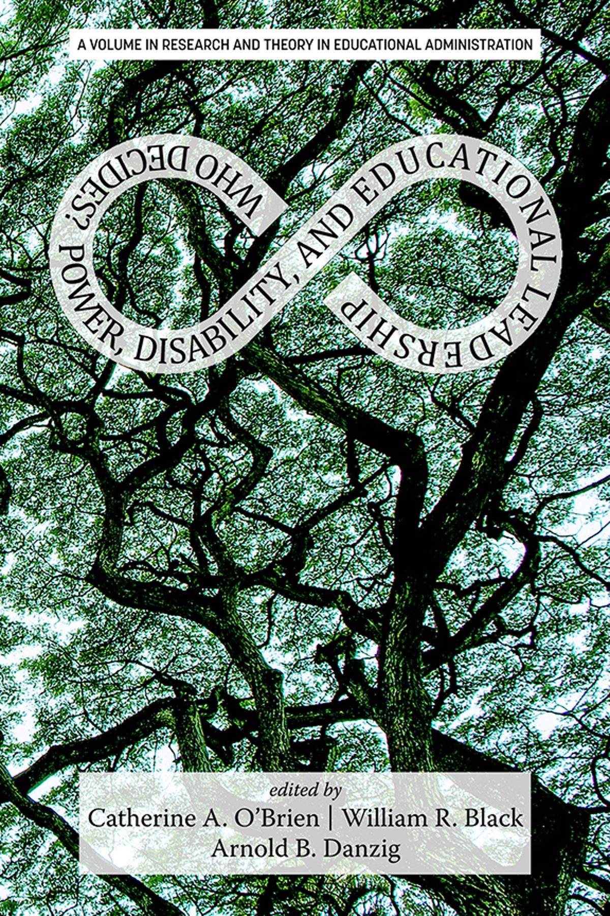 Book cover image for Who Decides? ISBN: 9781648029127
